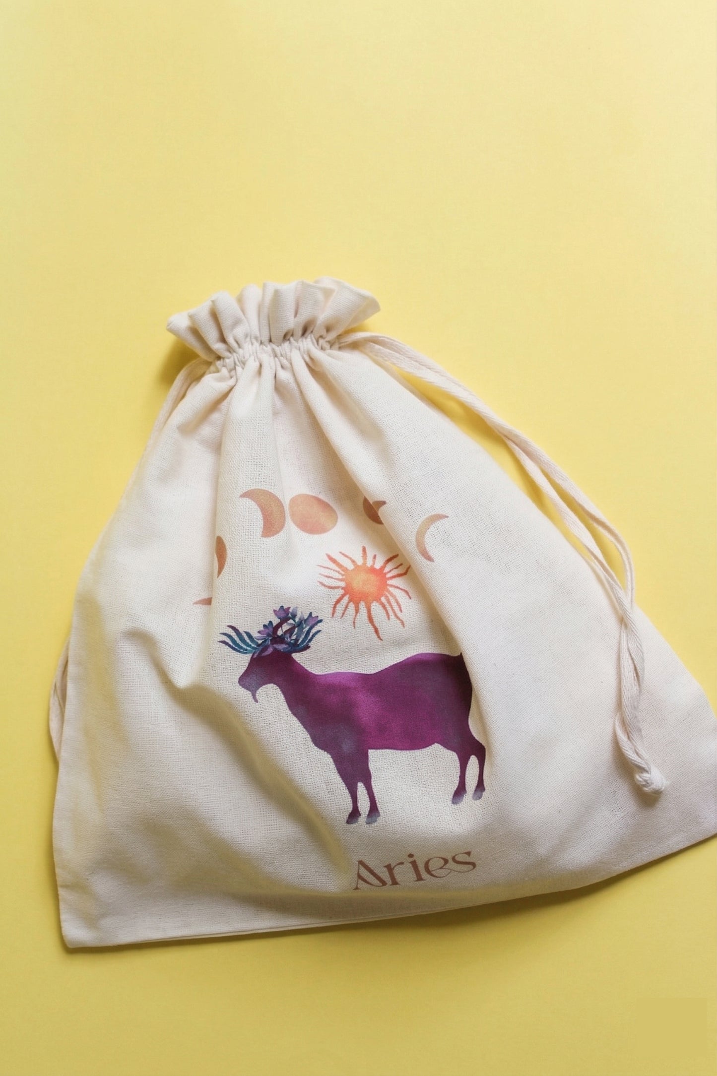 Aries T-shirt