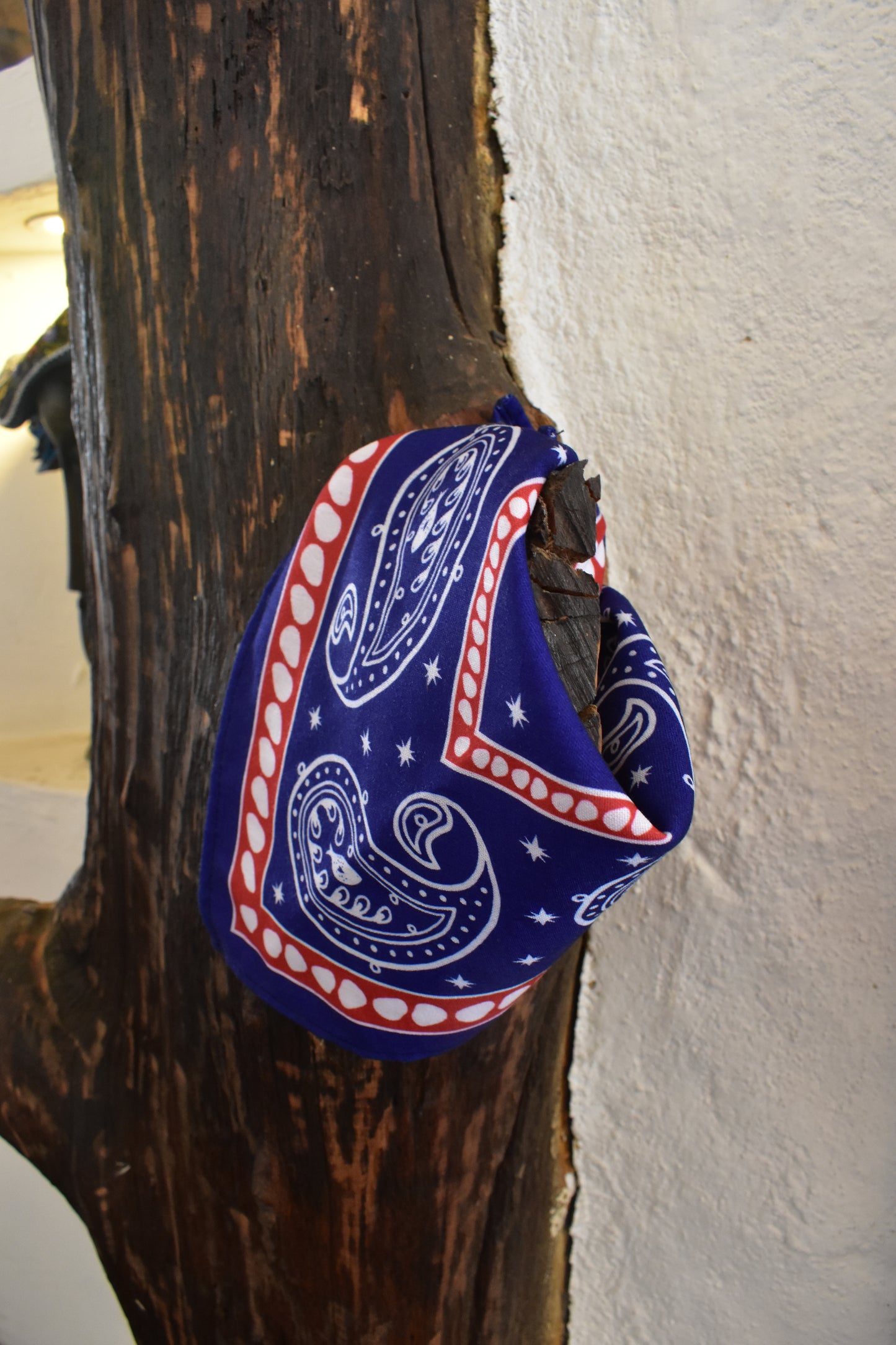 Pañoleta Cowgirl
