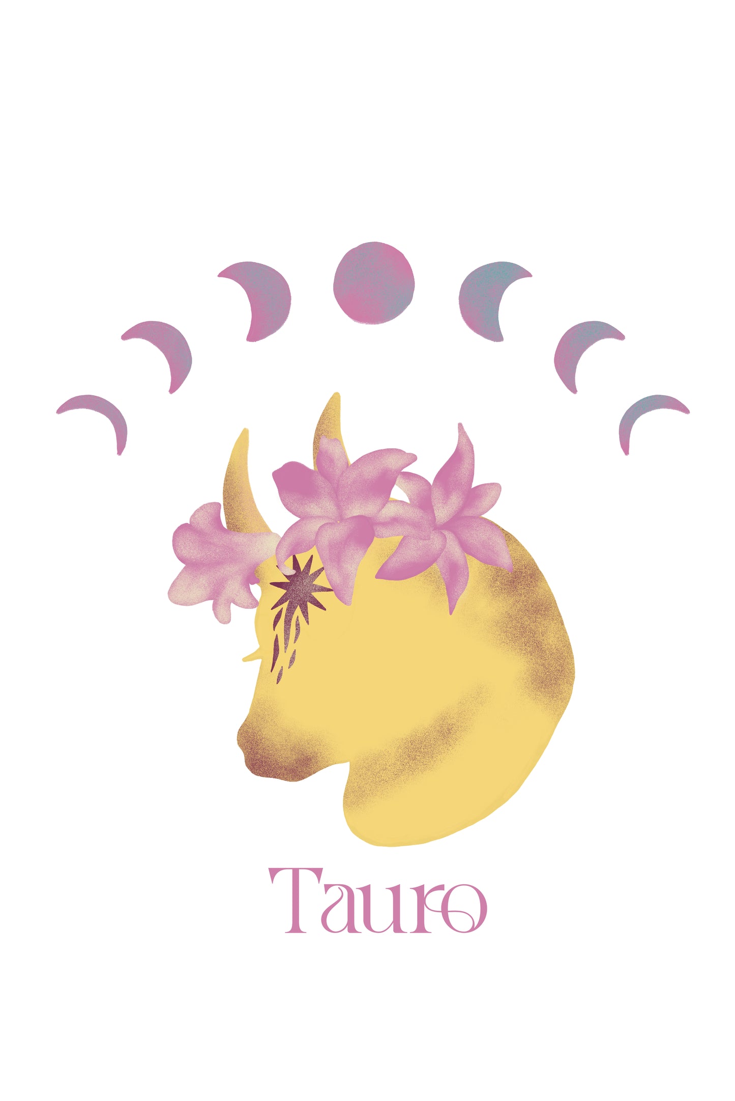 Tauro T-shirt