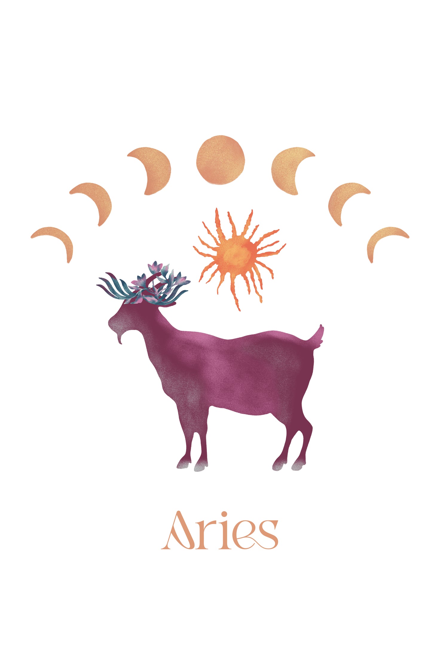 Aries T-shirt